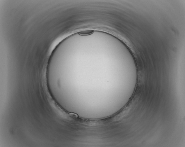 X0000113261530200910011356