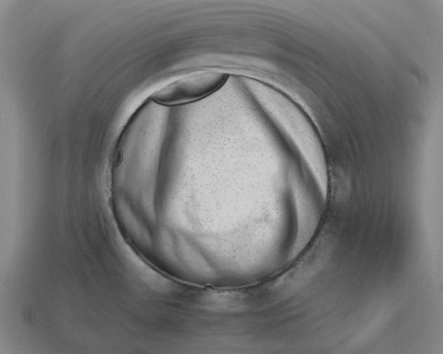 X0000113261531200910011356