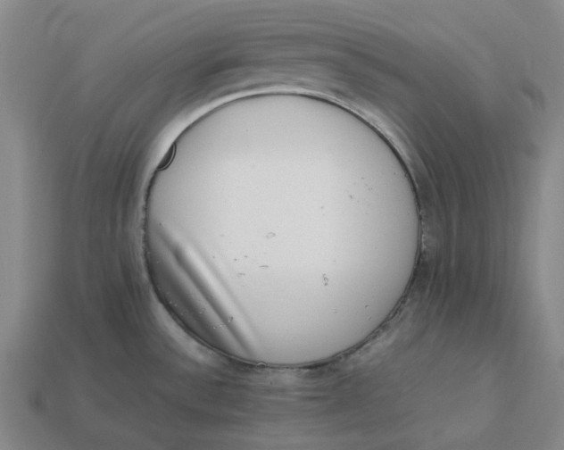 X0000113261532200910011356