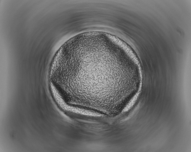 X0000113261533200910011356