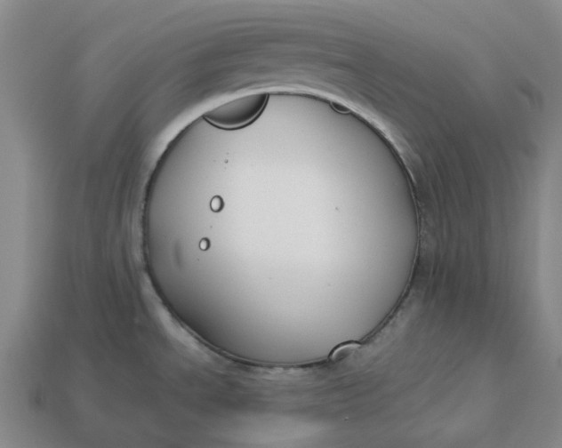 X0000113261534200910011357