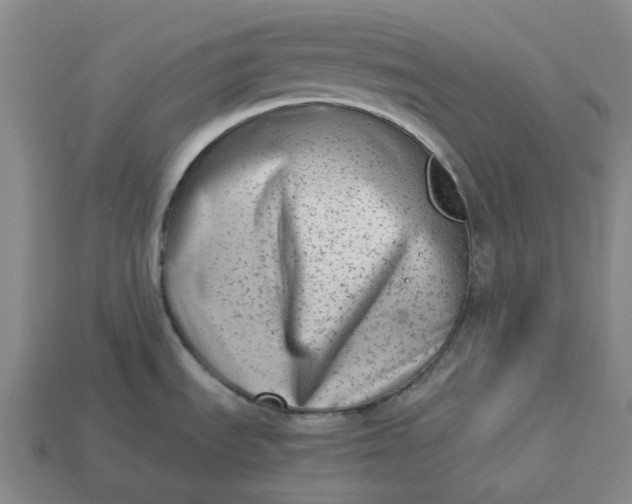 X0000113261535200910011357