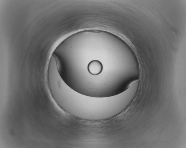 X0000113261536200910011357