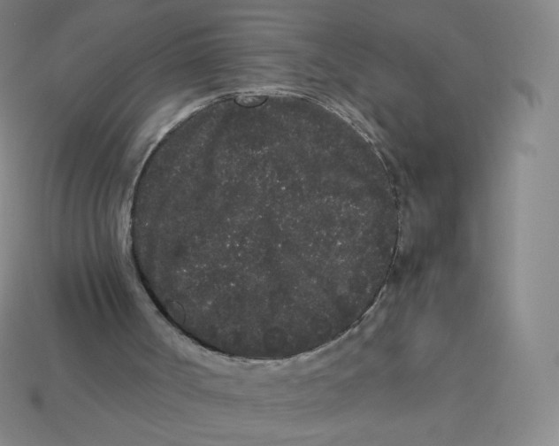 X0000113260002200910081349