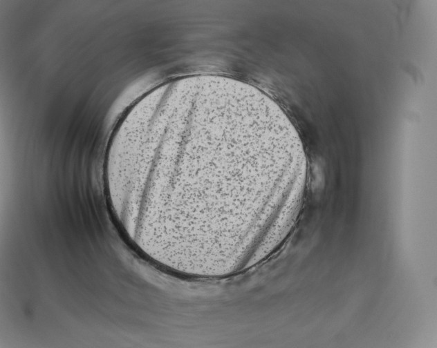 X0000113260004200910081349