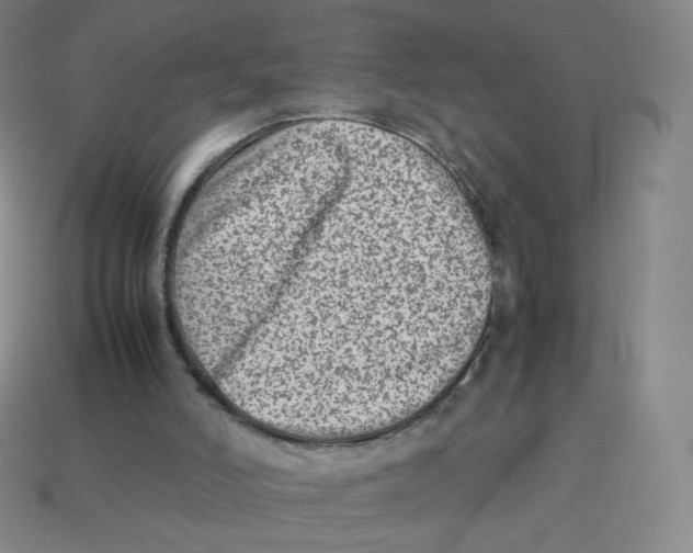 X0000113260006200910081349