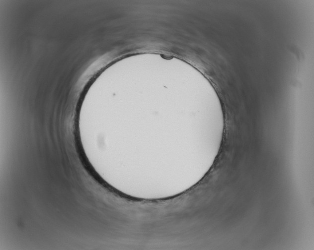 X0000113260007200910081349