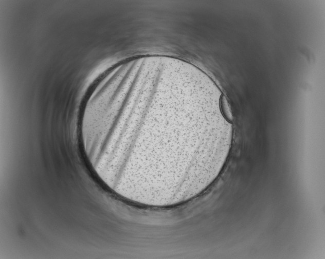 X0000113260008200910081349