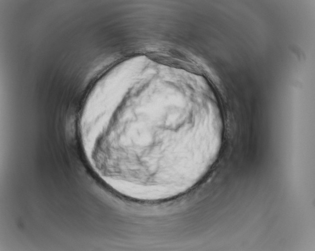 X0000113260010200910081349