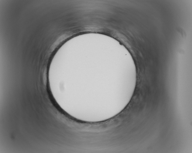 X0000113260011200910081349