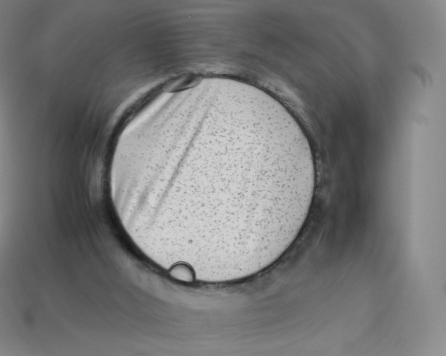 X0000113260012200910081349