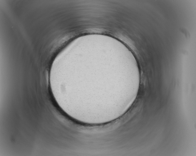 X0000113260013200910081349