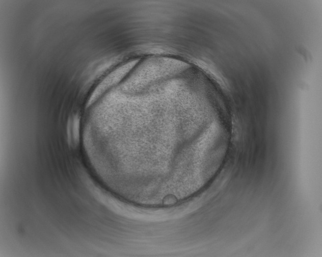 X0000113260014200910081349