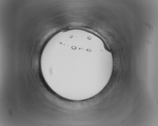 X0000113260015200910081349