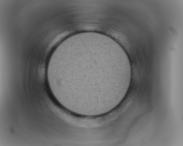 X0000113260016200910081349
