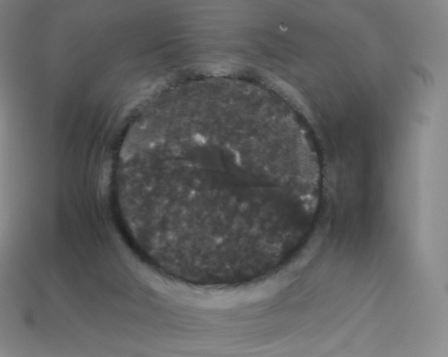X0000113260018200910081349