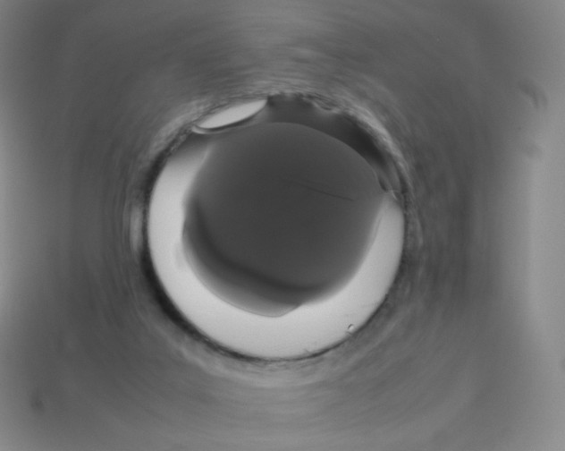 X0000113260019200910081349