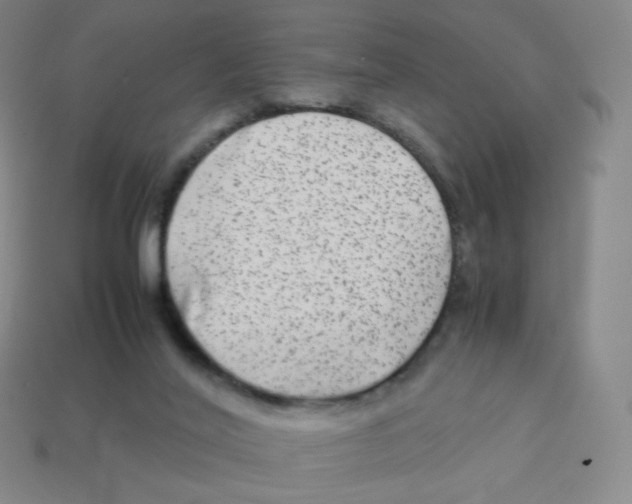 X0000113260020200910081349