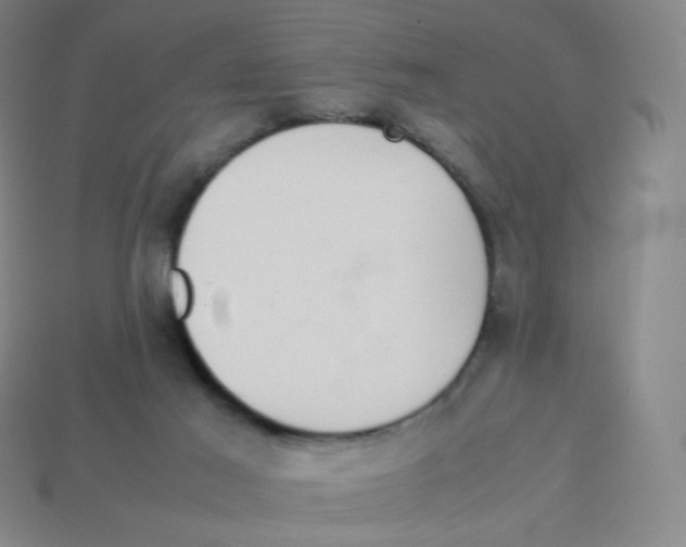 X0000113260021200910081349