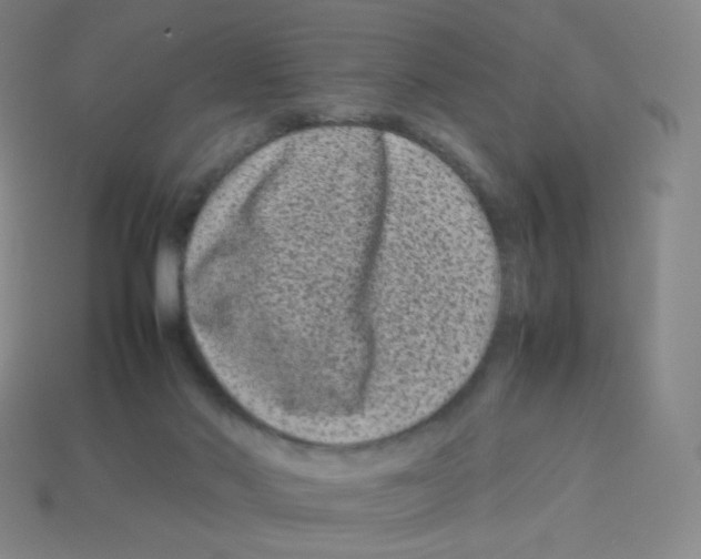 X0000113260022200910081349
