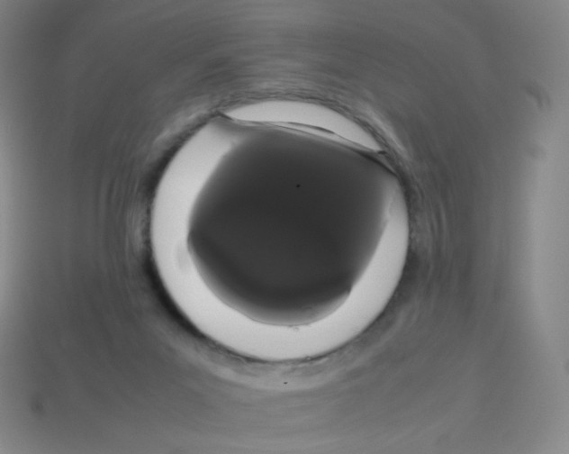 X0000113260023200910081349