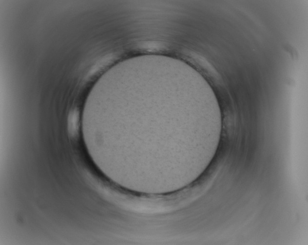 X0000113260024200910081349