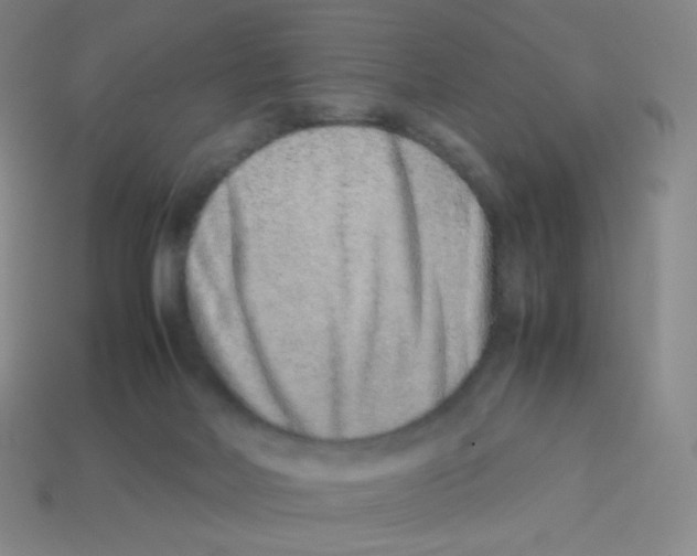 X0000113260026200910081348
