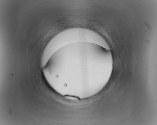 X0000113260027200910081348
