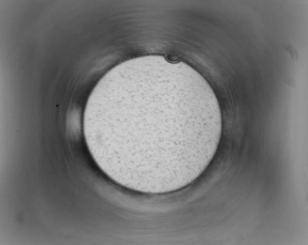 X0000113260028200910081348