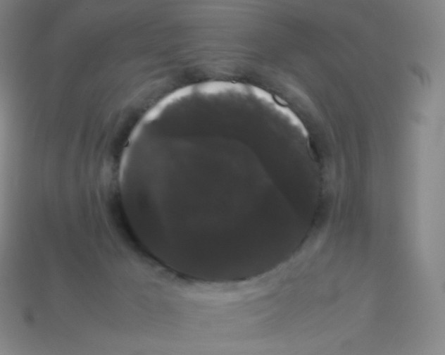 X0000113260029200910081348