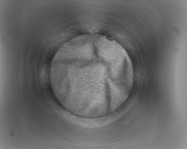 X0000113260030200910081348