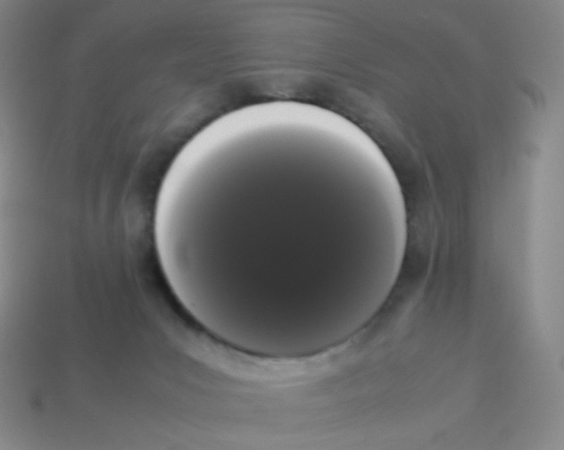 X0000113260031200910081348