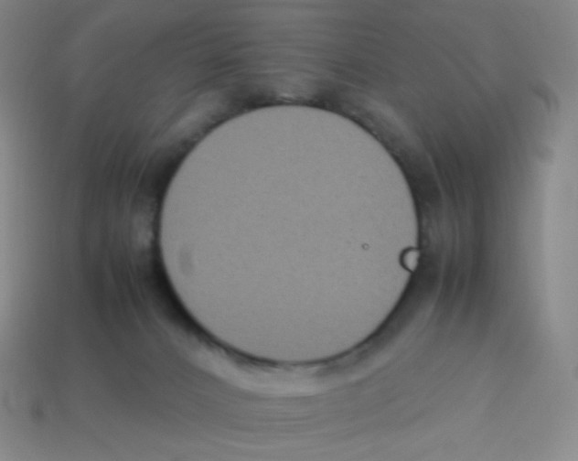 X0000113260032200910081348