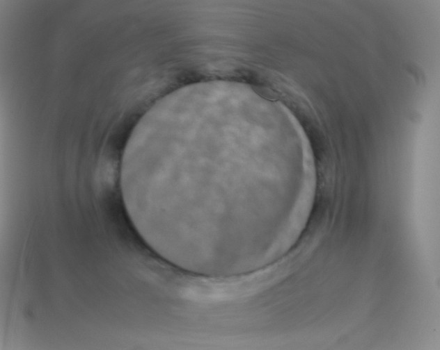 X0000113260033200910081348