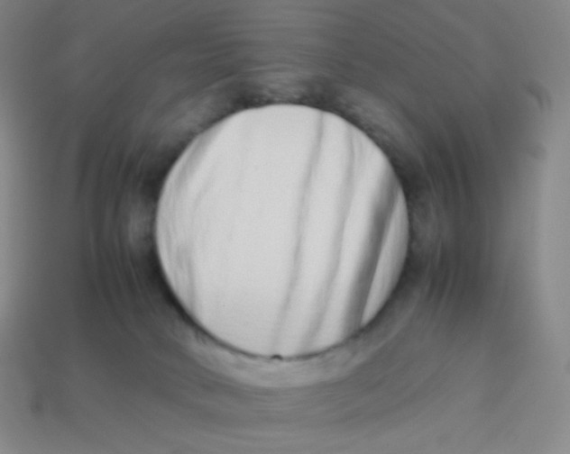 X0000113260034200910081348