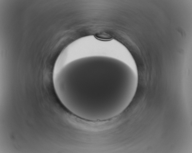 X0000113260035200910081348
