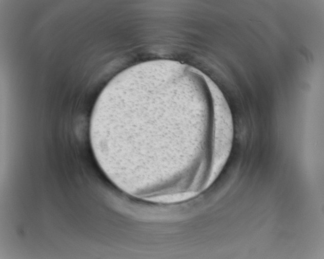 X0000113260036200910081348