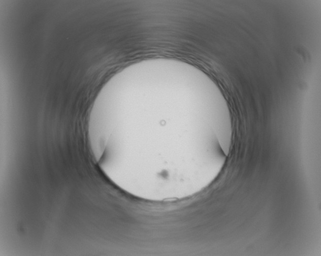 X0000113260037200910081348