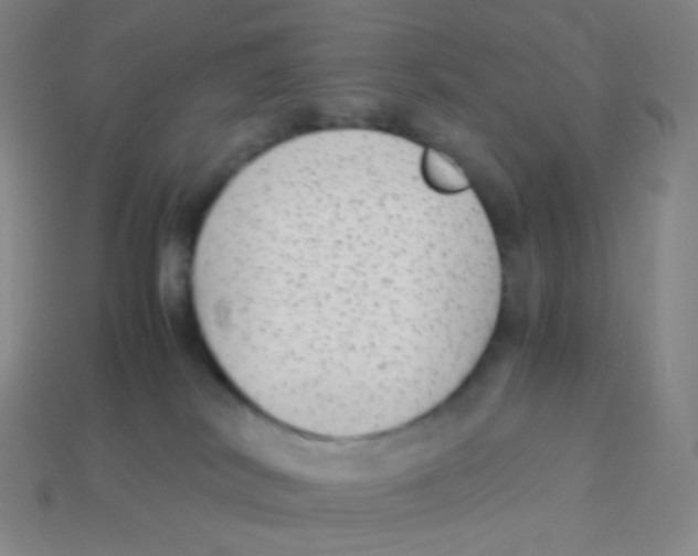 X0000113260038200910081348