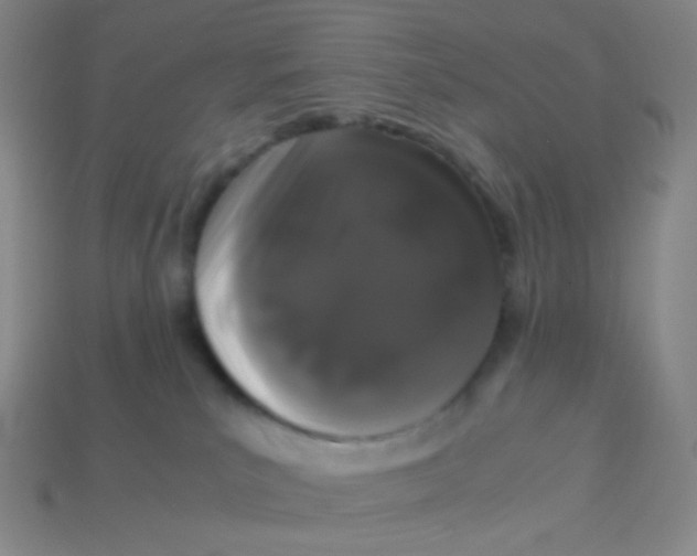 X0000113260039200910081348