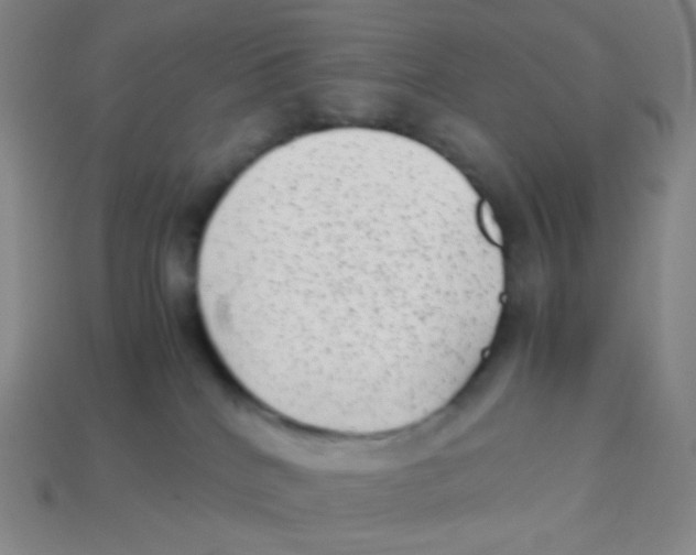 X0000113260040200910081348