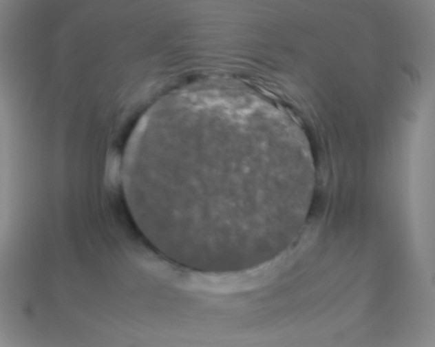 X0000113260041200910081348