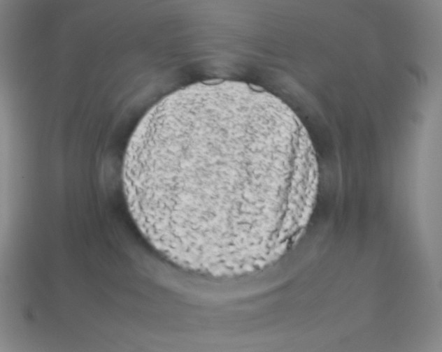 X0000113260043200910081348