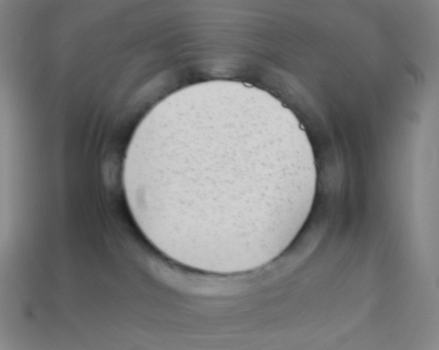 X0000113260044200910081348