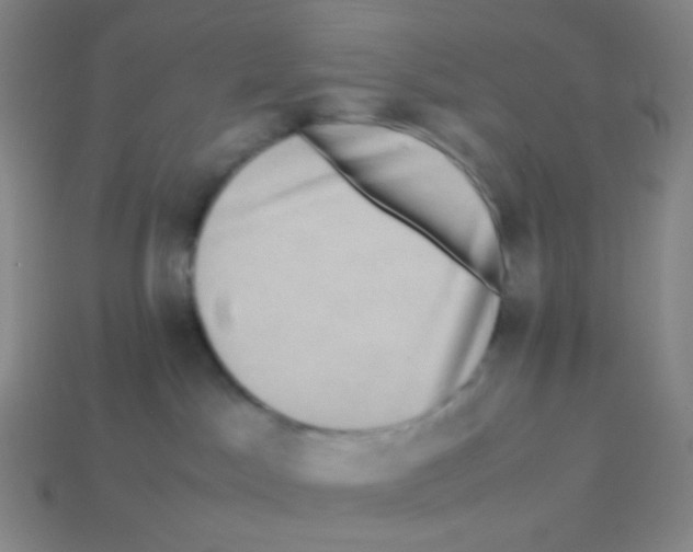 X0000113260045200910081348