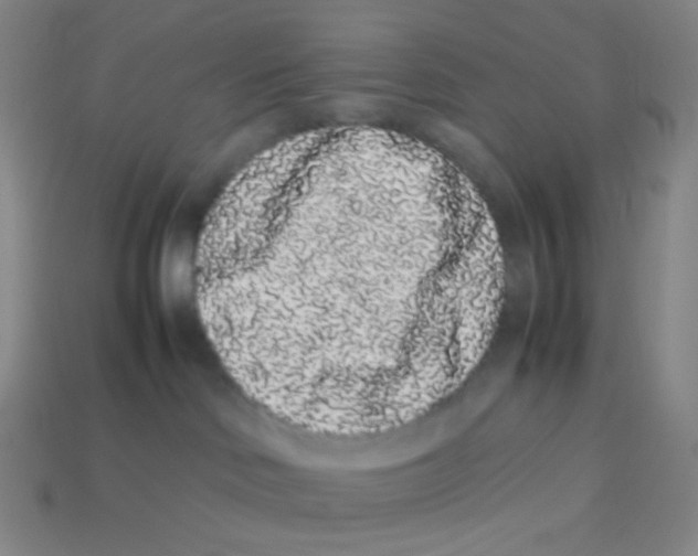 X0000113260046200910081348