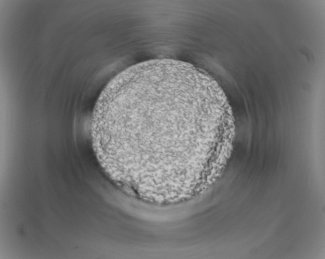 X0000113260047200910081348