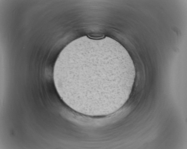 X0000113260048200910081348