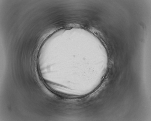 X0000113260049200910081348