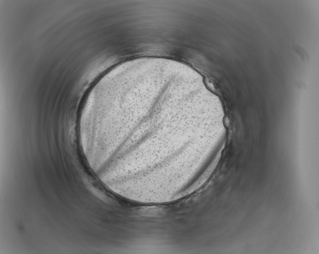 X0000113260050200910081348